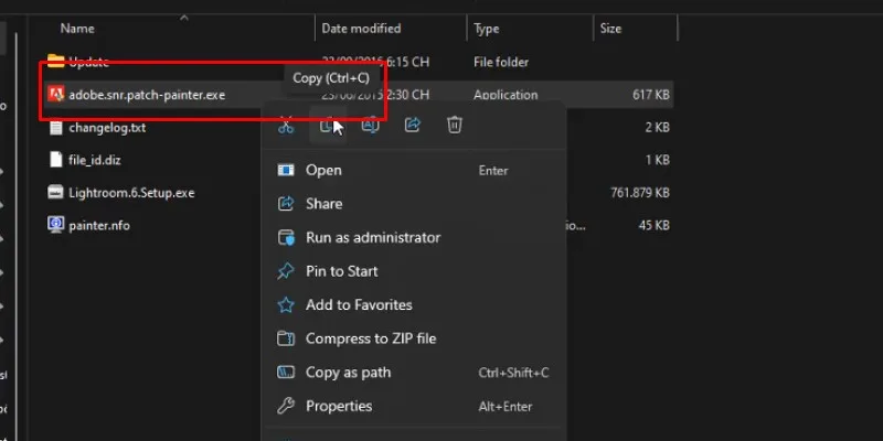 Coppy file như hình